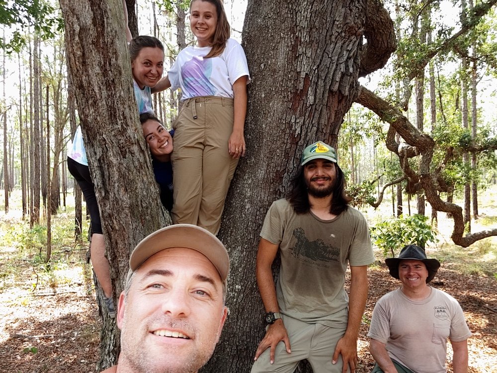 Research field crew pictured in 2019 at the Ordway-Swisher Biological Station ForestGeo Plot. Counterclockwise from bottom left: Dan Johnson, Cortney Deviney, Jackie Bourdon, Reagan Fox, Joseph Nieves, and Alan Percifield. This photo was taken before COVID-19 mask precautions.